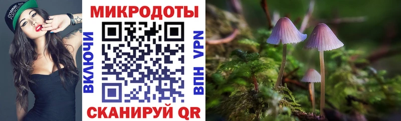 Псилоцибиновые грибы Psilocybe  Обь 